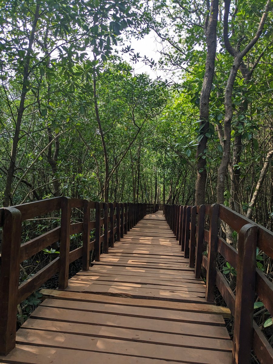 me_ganesh14's tweet photo. Before Exploring Maldives do explore the eco beach of Kasarakode and also the.beautiful Mangrove Forest of Uttara Kannada Dist.

No more India Out, it's only India In..

#ExploreIndianIslands #Lakshdweep #Maldivians #MaldivesKMKB #BoycottMaldives https://t.co/ieT0R2b5al