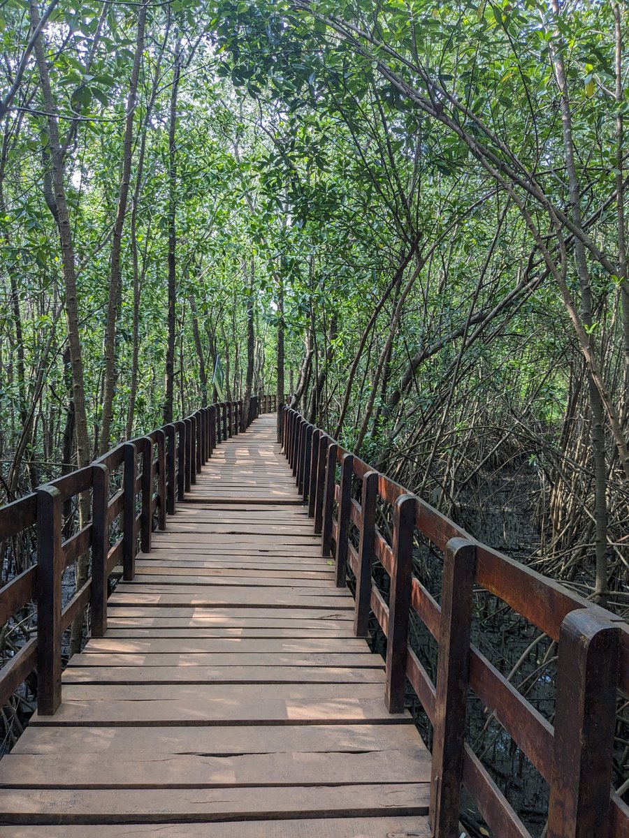 me_ganesh14's tweet photo. Before Exploring Maldives do explore the eco beach of Kasarakode and also the.beautiful Mangrove Forest of Uttara Kannada Dist.

No more India Out, it's only India In..

#ExploreIndianIslands #Lakshdweep #Maldivians #MaldivesKMKB #BoycottMaldives https://t.co/ieT0R2b5al