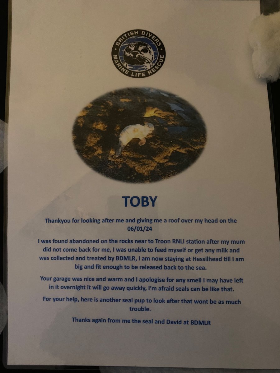 toby_MCC99's tweet photo. In a twist to my weekend plans meant staying at home. A text for help last night and BOOM an overnight guest came to stay ๐ฆญ โค๏ธ So happy they are now safe and well in a sanctuary being looked after by professionals #seasidelife #winter #wildlife #rescue #bdmlr ๐ด๓ ง๓ ข๓ ณ๓ ฃ๓ ด๓ ฟ https://t.co/TQbUMJRvOZ