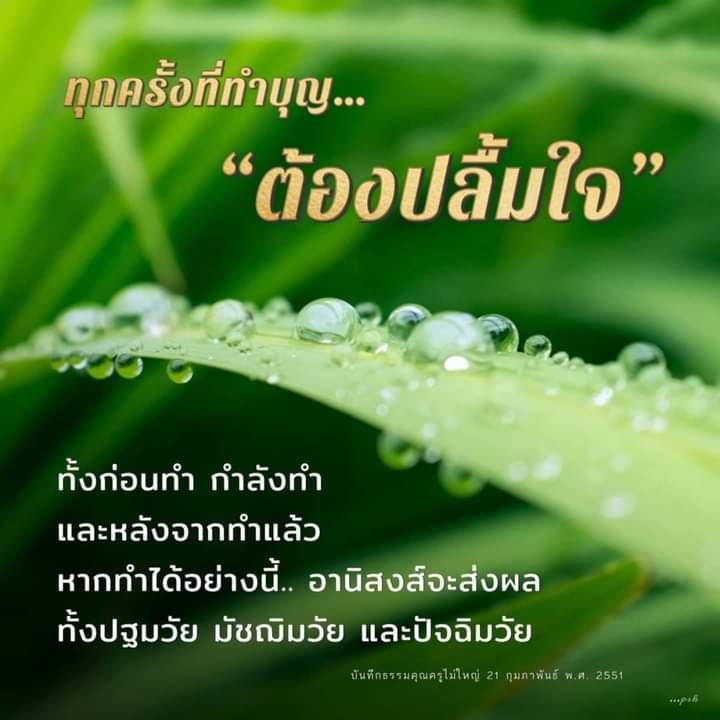 sabaijai_5's tweet photo. @Psanitwong #ต้องปลื้มใจ https://t.co/ybB9ZpXI0e