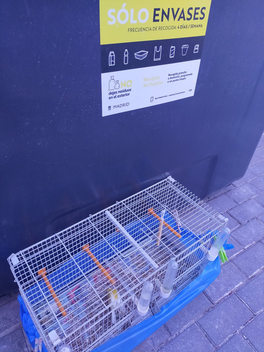 cristina maruri tweet media