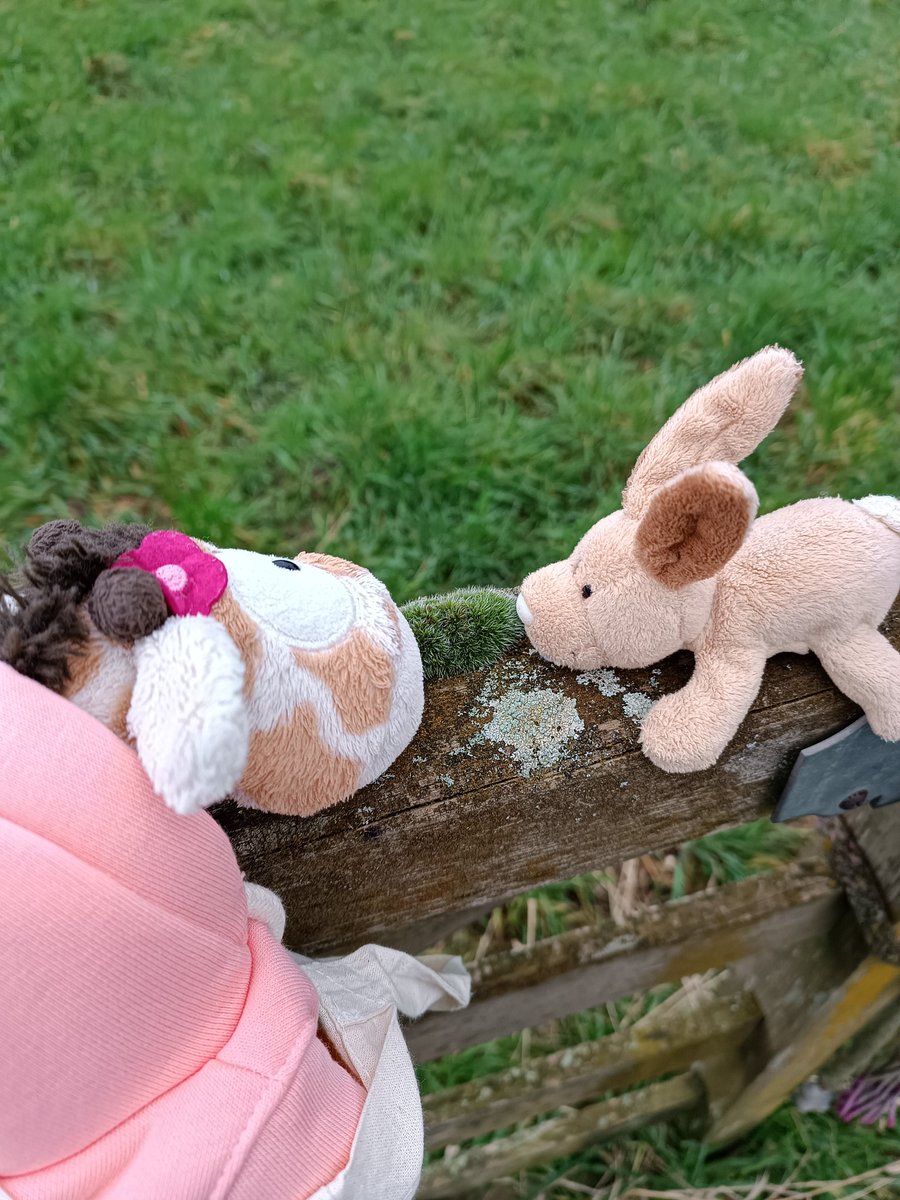 Was ist denn das? Sieht nach Moos aus... Magst du das etwa, Hopps? Also für Giraffen ist das nix ☝️ <a href="/Strickdings/">MonaMöwe, die Plüschbande🐪🐑🦀🐑und Gäste</a>