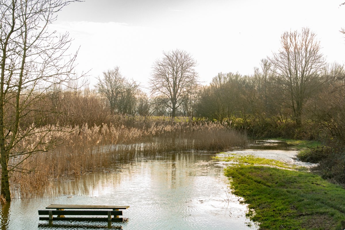 ArieJanVT's tweet photo. De #avelingen stroomt vol vanuit de #merwede #overloopgebied #hardinxveld #hogewaterstand #natuurgebied #landschapsfotografie #derooijfotografie https://t.co/beMpg2KSSP