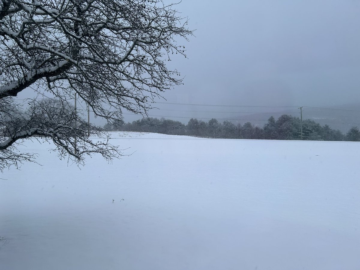 ShawnTWrites's tweet photo. Winter is back in #Vermont, with a vengeance. Cut our #Maine #weekend a little short and drove home last night. Woke up to a #WinterWonderland ⛄️ Today will be a day of #writing, #reading, watching TV, coffee—an shoveling. #winterinnewengland #WritingCommunity 💻❄️☕️☕️ https://t.co/rL11l2az1j