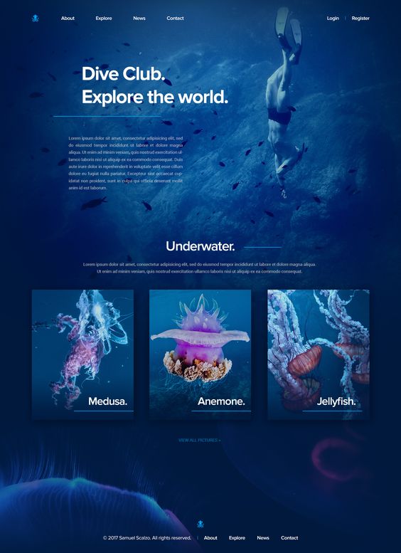 blue_server's tweet photo. Eye-catching website design and templates. 
▶️Follow for more @blue_server 
▶️Retweet
DM us if you like to develop your new website. 
#websitedeveloper #wordpressdeveloper #websitedesigner #websitelaunch #websitehacking #websitebuilder #newwebsite https://t.co/qmzkstFGWI