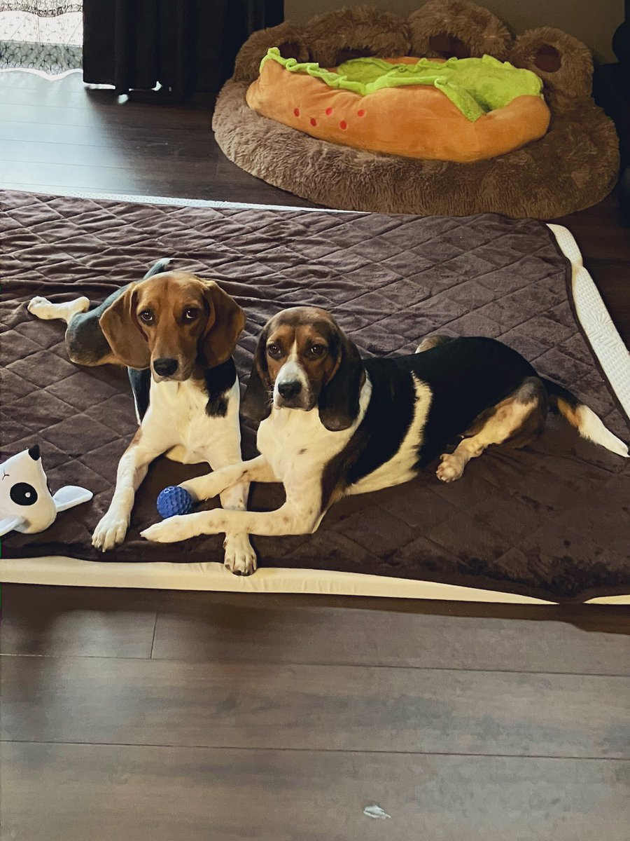 いつも仲良し♡