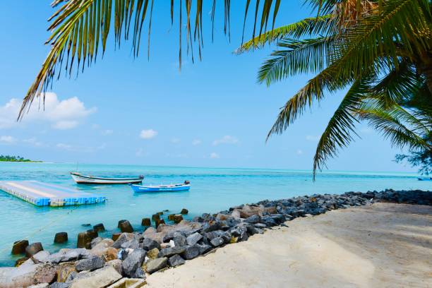 ravikishann's tweet photo. "Embark on a journey of enchantment! 🏝️✨
 Discover the breathtaking beauty of the Indian Islands – a paradise waiting to be explored. From serene beaches to vibrant culture, there's something for every adventurer.

 #ExploreIndianIslands #Lakshdweep https://t.co/YOXzeSyVEo