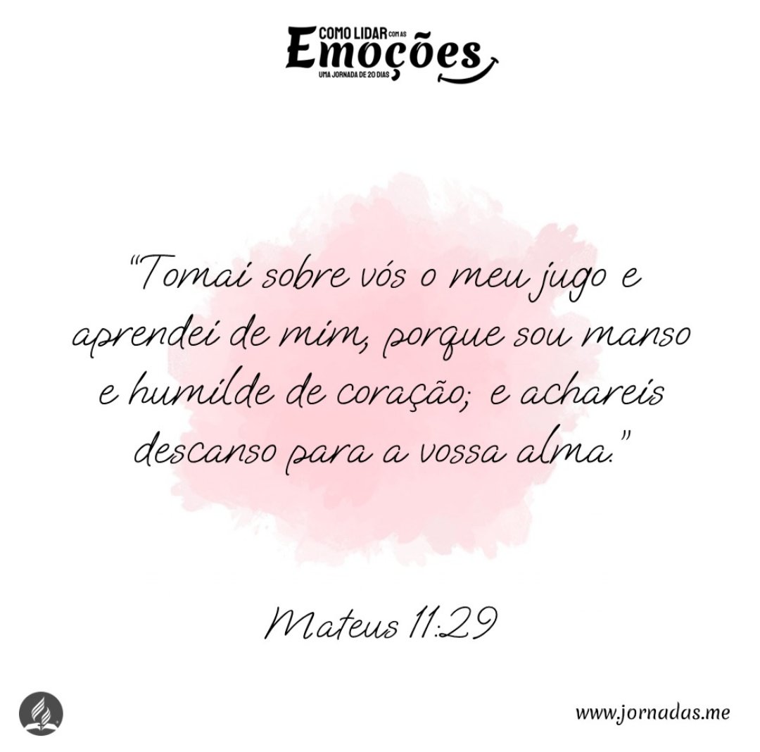 Bel Angelim (@angelimbel) on Twitter photo 