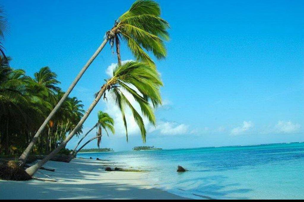 Pahlapyaaar's tweet photo. My India is so beautiful country. India has many islands and they are so beautiful. So let we stand with our country and enjoy the beauty of nature of our islands🥰❤️
#ExploreIndianIslands https://t.co/SJwqHgREpu