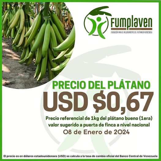 campocafeciudad's tweet photo. Precio referencial a puerta de finca para el kilogramo del Plátano bueno (de primera) en la semana que inicia mañana lunes #08Ene

Fuente: FUMPLAVEN @fumplaven

#Venezuela #SurDelLago #ElVigia #Agricultura #Plátano #Precio #Fumplaven #AgroEconomía #CampoCafeCiudad https://t.co/okDIB62Dfn