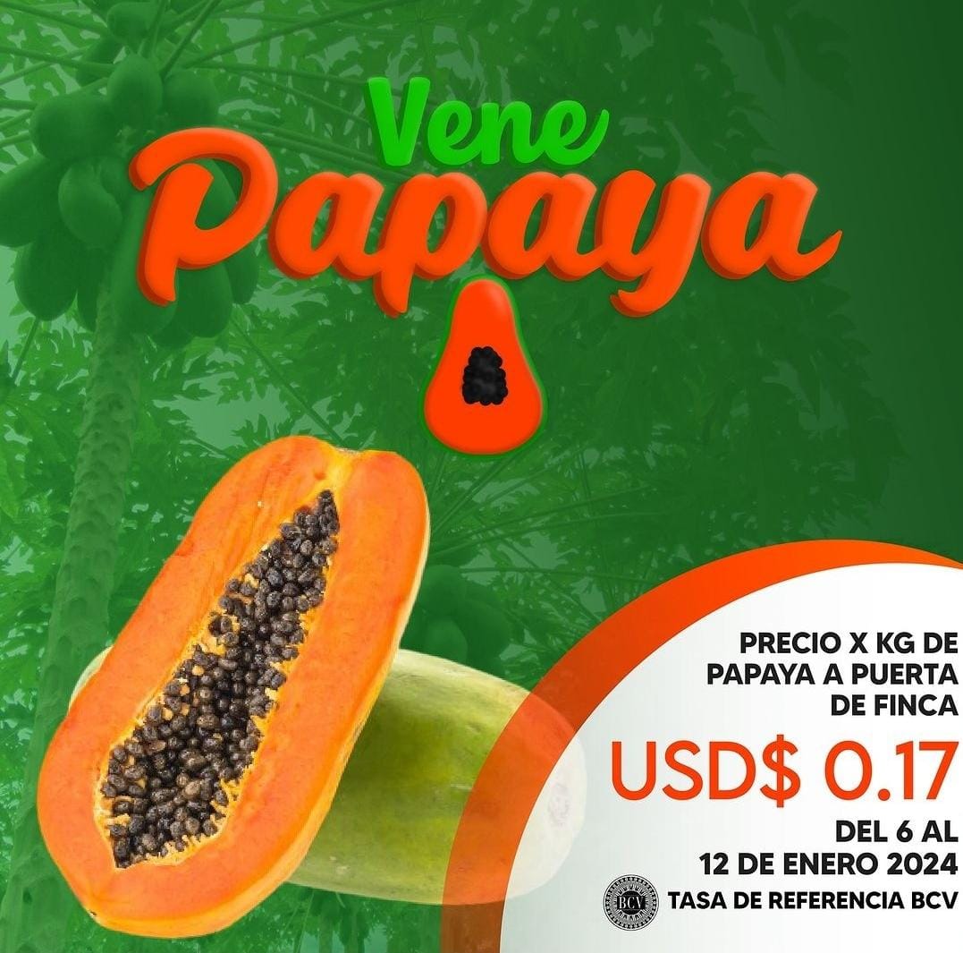 campocafeciudad's tweet photo. Precio sugerido por kilogramo de Papaya a puerta de finca para el período del 06 al 12 de enero de 2024

Fuente: VENEPAPAYA @venepapaya 

#Venezuela #Agricultura #Papaya #Precio #Venepapaya #AgroEconomía #CampoCafeCiudad https://t.co/inq85npbLO