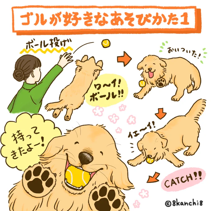 ゴルが好きなあそびかた
〜 ボール投げ 〜
#ゴールデンレトリバー
#犬のイラスト 