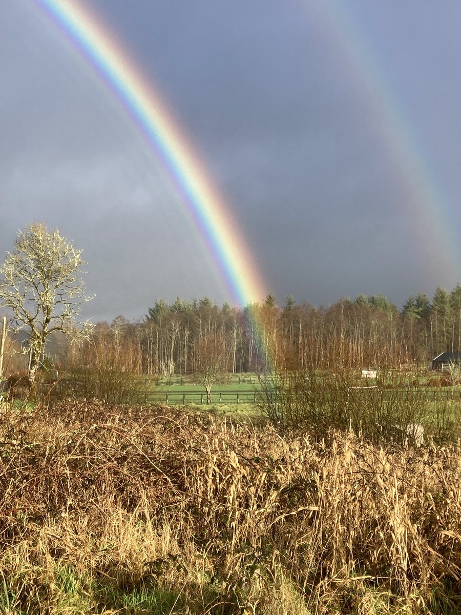 Seppi Höna tweet media