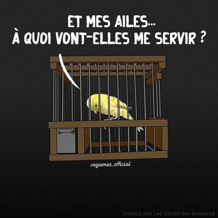 Adea Claude (@adeaclaude) on Twitter photo 