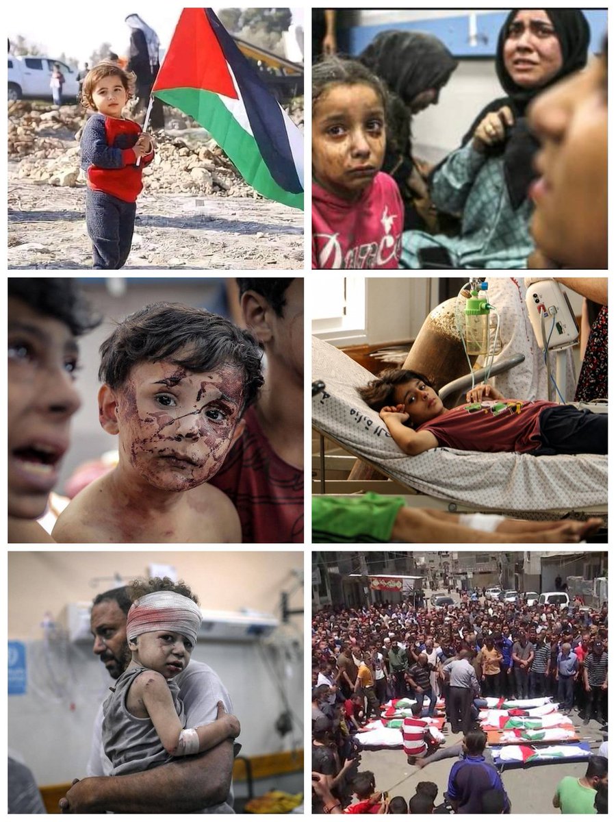 Van 75 años de ocupación y despojo. Y hace hoy 3 meses se les suma la barbarie. El régimen sionista es genocida; su padrino yanqui, también. El mundo los condena a ambos. #FreePalestine