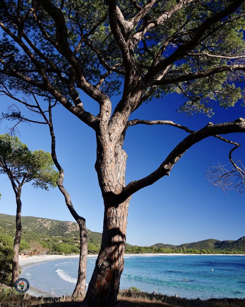 📌 Palombaggia 🤩