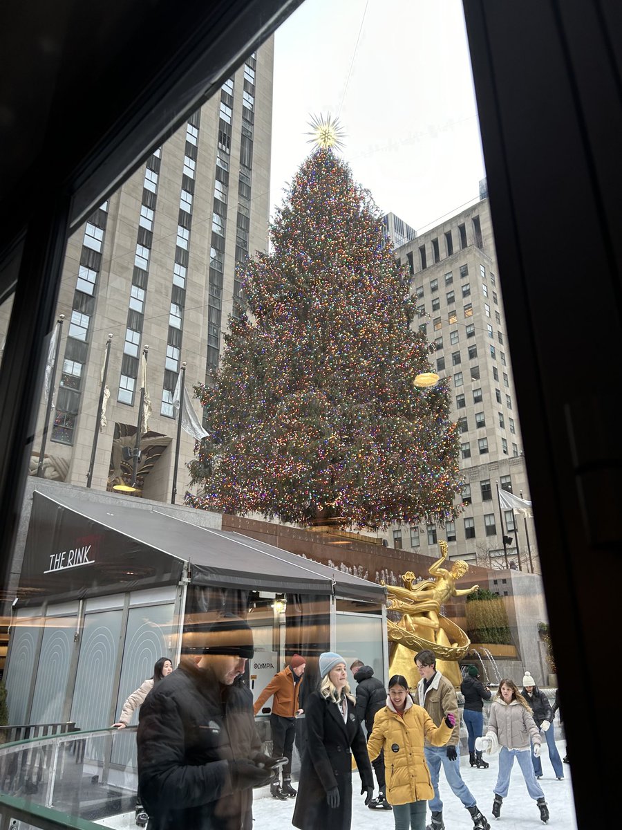 Phyllis DeStefano tweet media