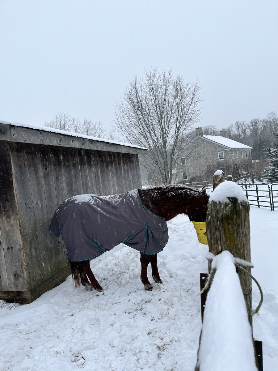 Winter Wonderland this am!!! Finally!