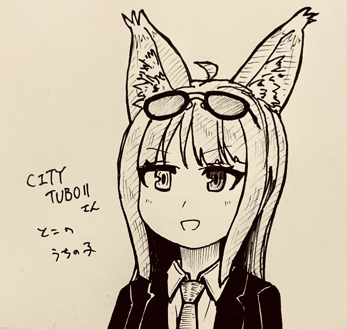@CITYTUBOII こんな感じになりました 