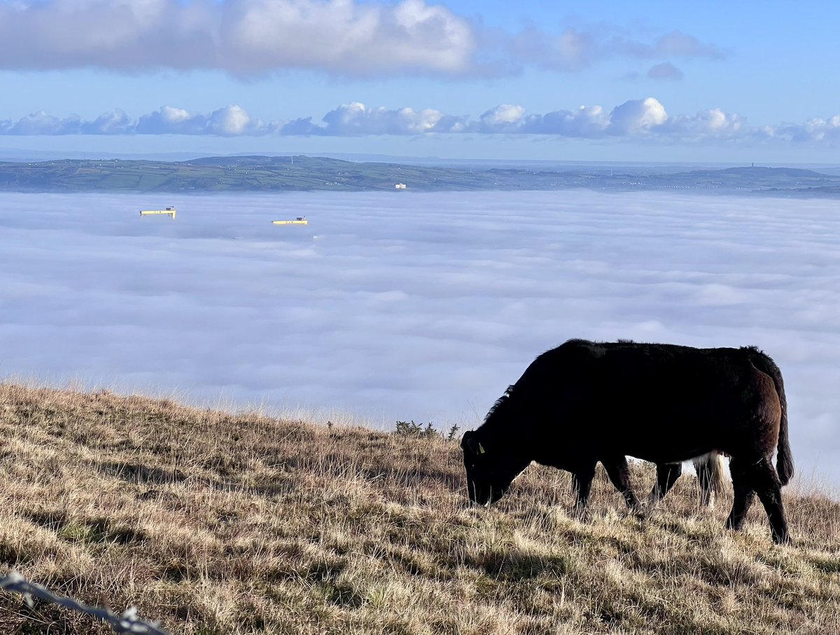 @bbcniweather @WeatherCee @barrabest #weatherwatchni #ridgetrail #blackmountain