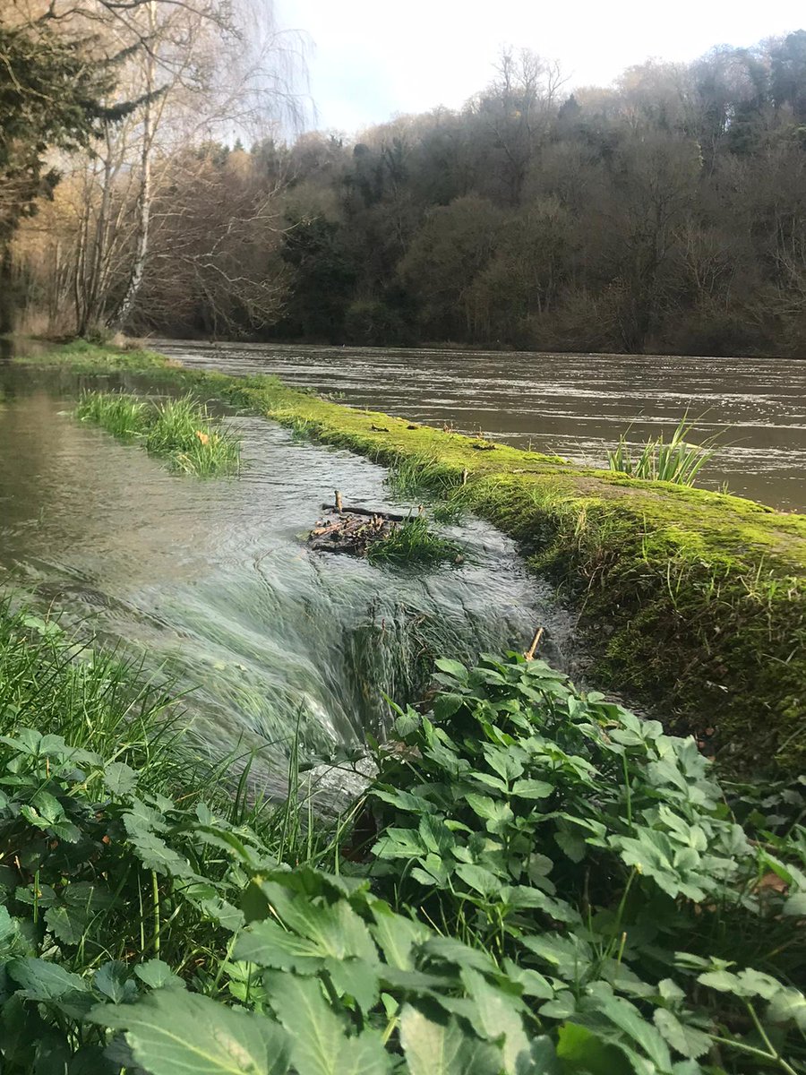 Flood defences now deployed at my #Archives, and the village is cut off so I can't even go and check 😱