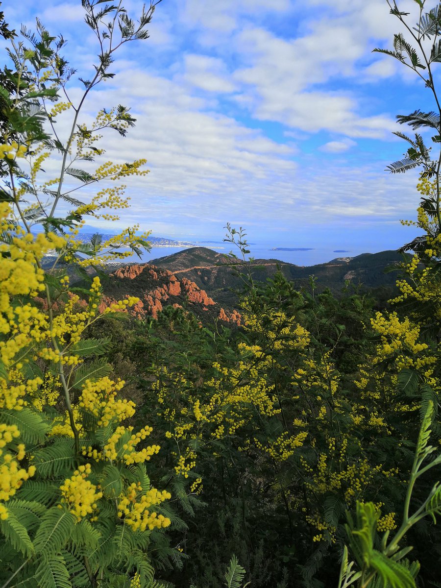 Côte d'Azur France tweet media