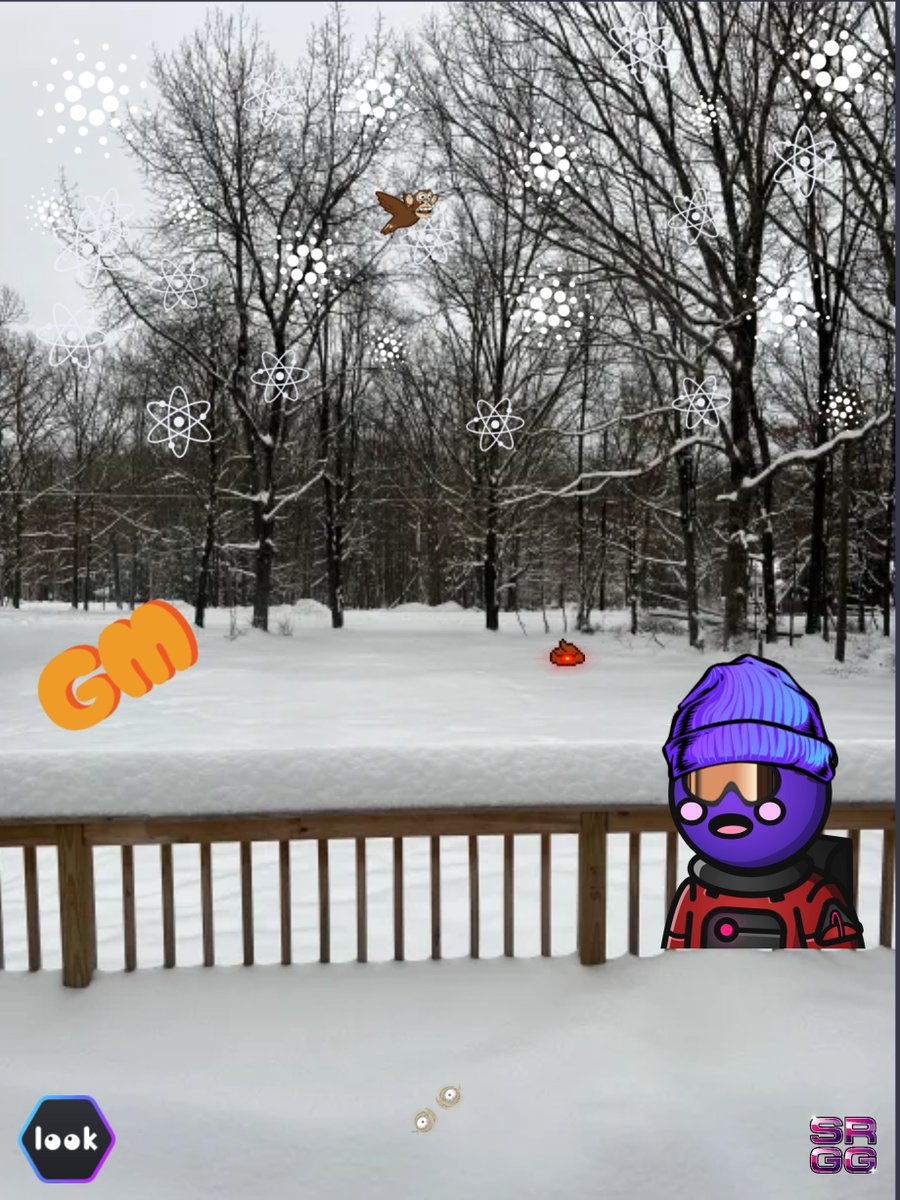 Brandon ₿uilder tweet media