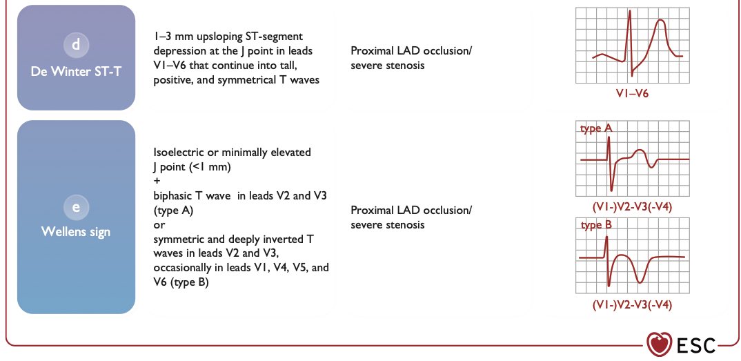 The Heart tweet media