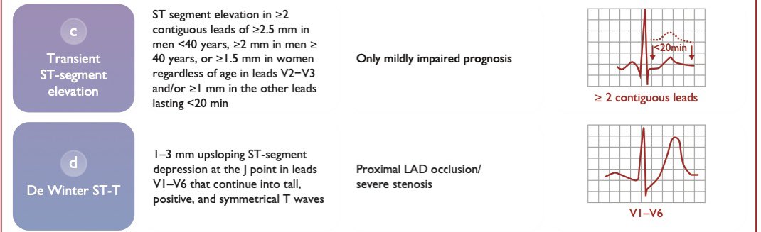 The Heart tweet media