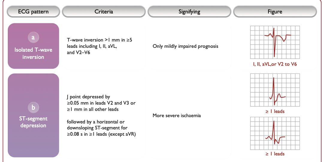 The Heart tweet media