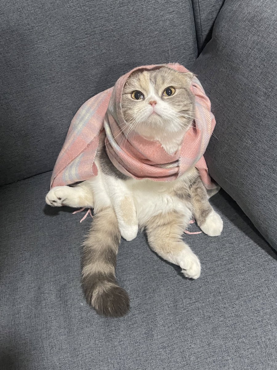 วอลโฟนรับปี2024