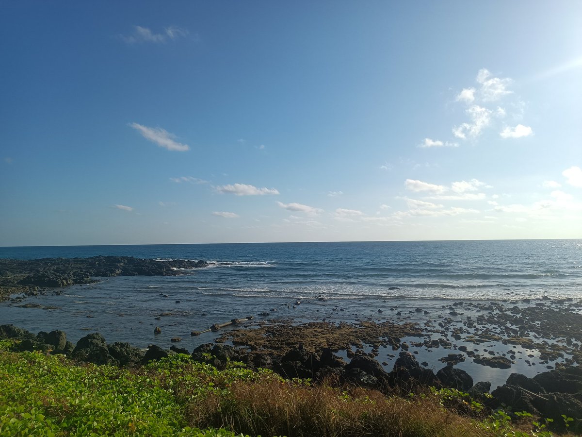 India's Beauty is Unmatched. Let's #ExploreIndianIslands.

#VisitAndamans for an enthralling holiday this new year.

#ExploreAndamanNicobar