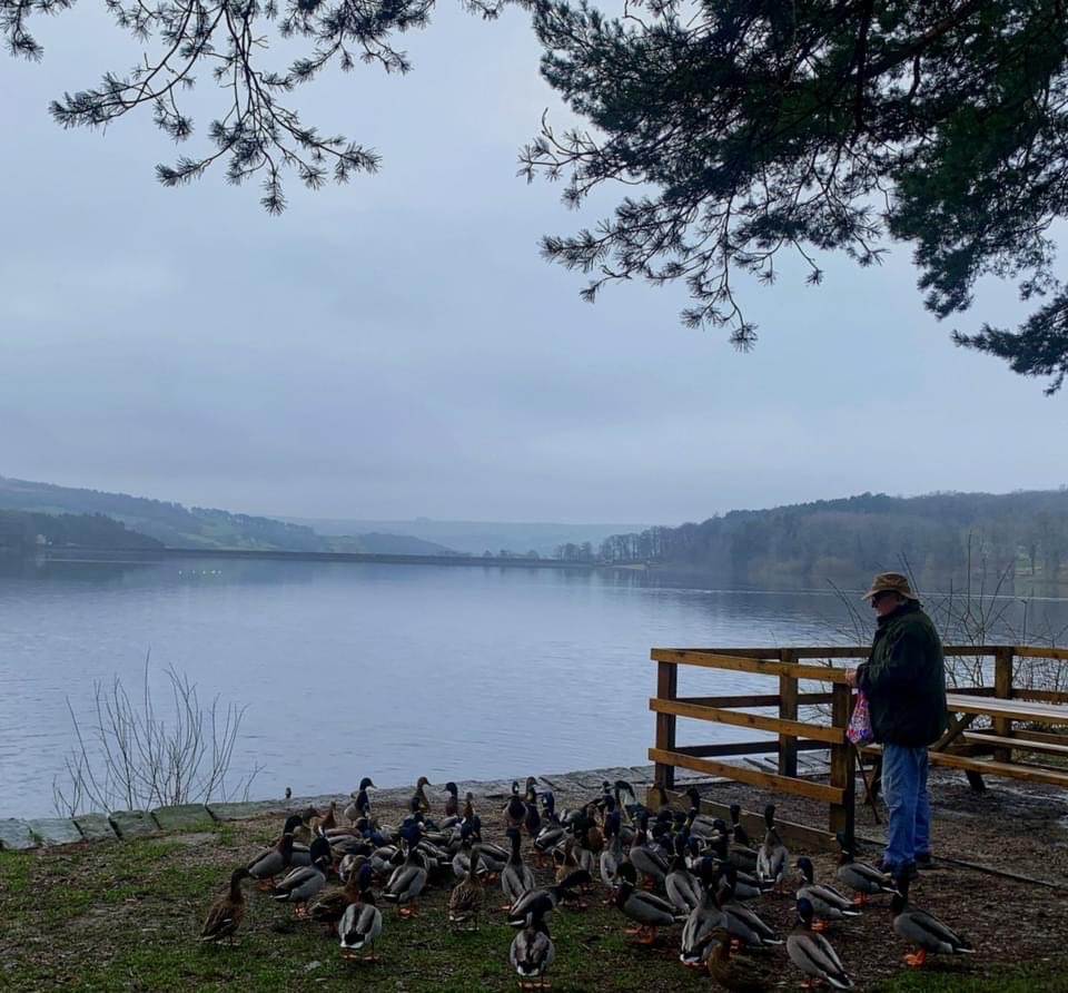 IreneSandraD's tweet photo. No rain on our walk around #Swinsty and #Fewston #Reservoirs, and although misty and SO muddy, it was very enjoyable @EyUpYorks @AllAboutYorks @WalkInYorkshire #Otley @IamHappyHiker https://t.co/JKgF5zfzDy