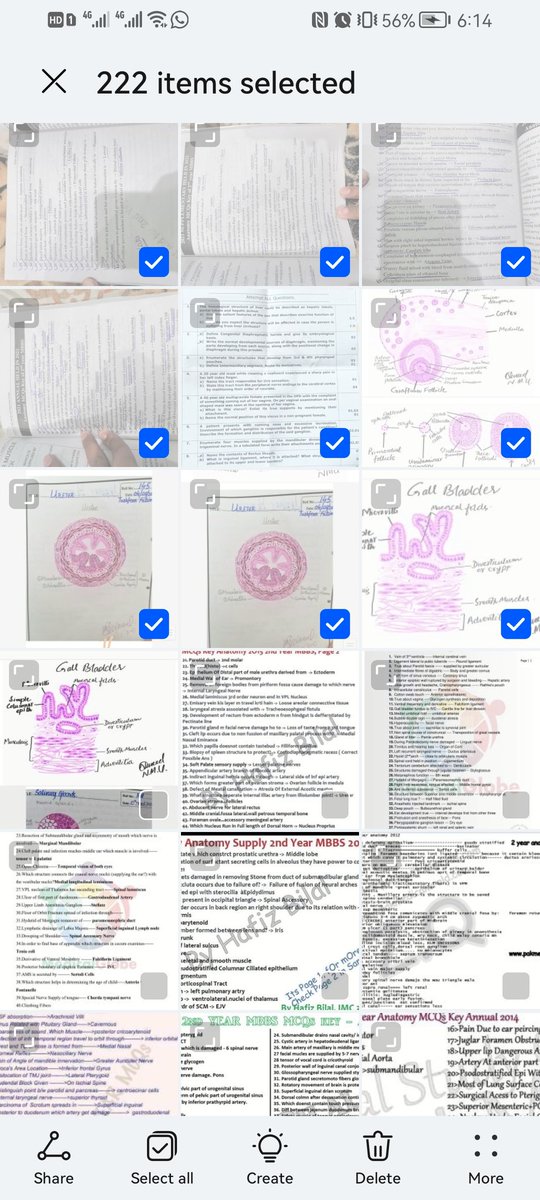 Muhamma95057327's tweet photo. Satisfaction after deleting this 
Allhumdullilah Done with 2nd year proff https://t.co/6XN6qejZkc