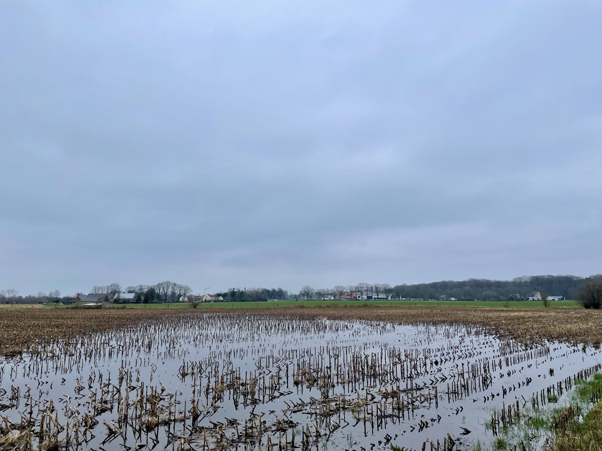EddyMisman's tweet photo. #vrtweer @HetweerinBelgie Beernem 11u40 #tempotraining 🏃♂️ https://t.co/aeJAcbPDDP