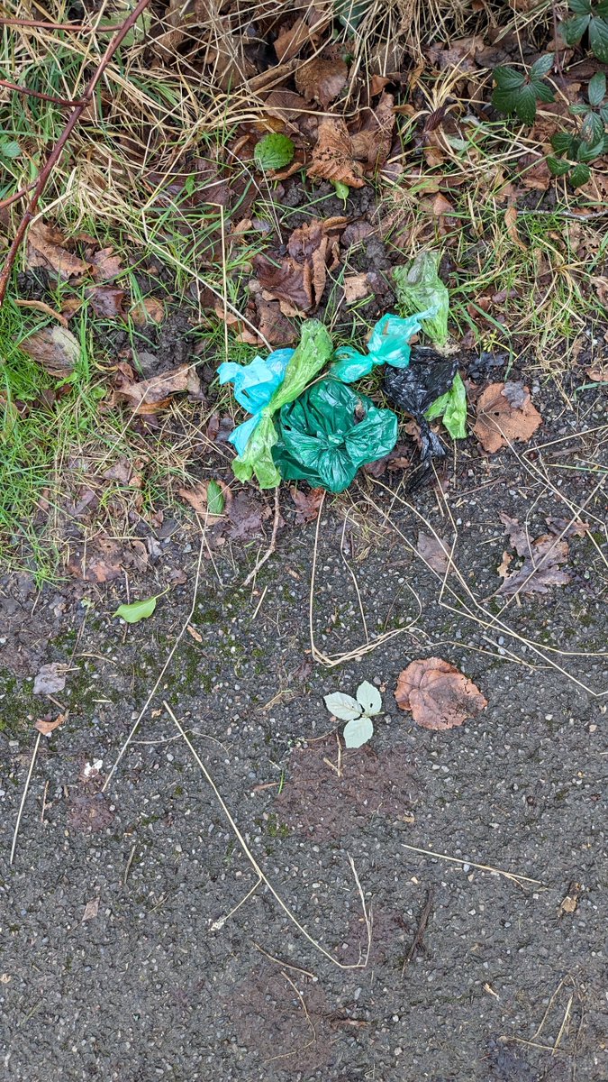 @GreenWoodhatch You can add another 3 bags to that . And we have a serial Poo 💩 bag offender along Pendleton Road 🤢