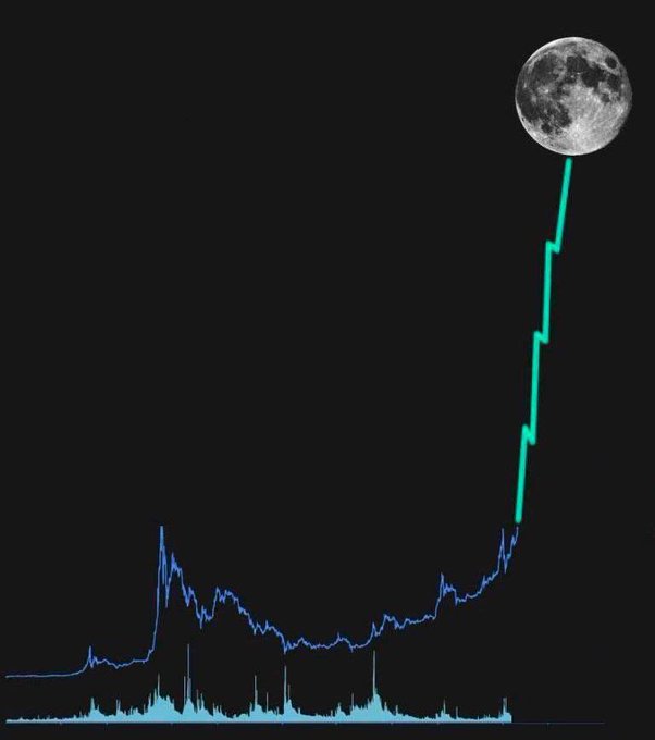 bullypad_sol's tweet photo. ๐พ#BULLYPack, Instead of wagging tails,
Retweet if you believe in $BULLY!! https://t.co/fQ1CxOXo5a
