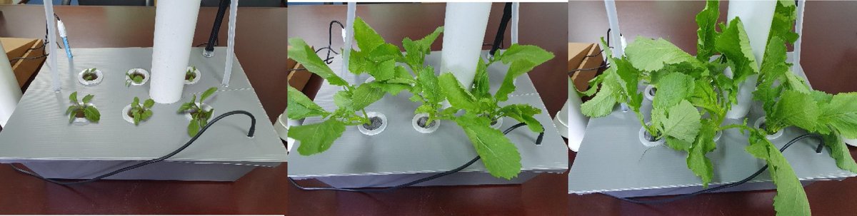 MWNautilus's tweet photo. SMART GROW: Low-cost #automated smart #IoT #hydroponic system for mobile #Andoid app-controlled #urban #farming:
-based on the #ESP32 #microcontroller
-#sensors for #temperature, #pH, etc.
https://t.co/Kc06Sd104N
#DIYbio #lab #instruments #plants https://t.co/J5BPwsjFb9