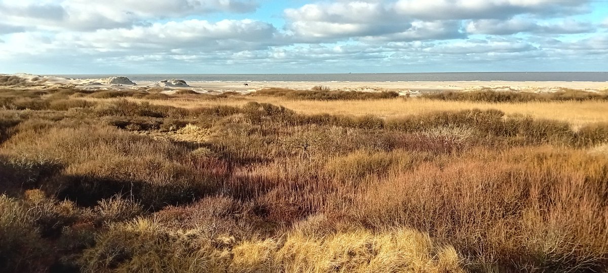 Jan Van Der Laag (@janlaag) on Twitter photo 