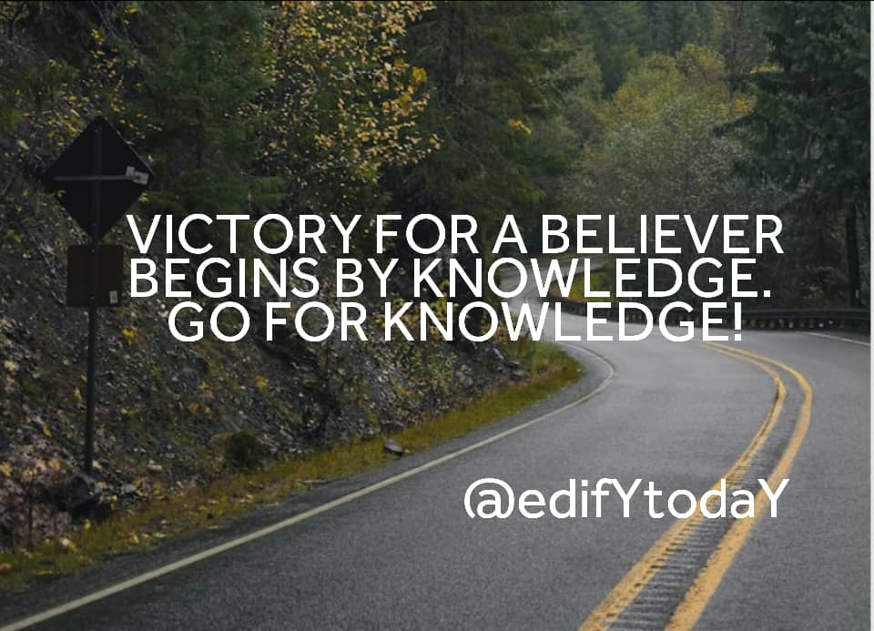 Angelina Tokzaka tweet media