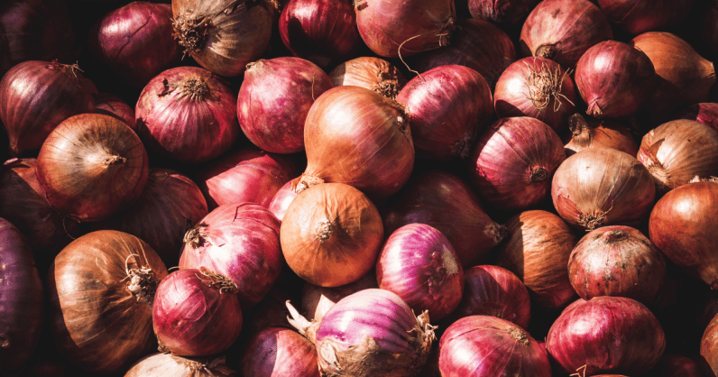 البليدة: تصدير منتجات فلاحية نحو أوروبا
>>bitly.ws/38YiF