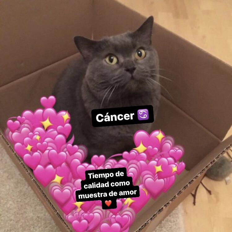 cancer_hn's tweet photo. Lo que queremos en nuestras relaciones ❤️ https://t.co/M6gWRSQiE3