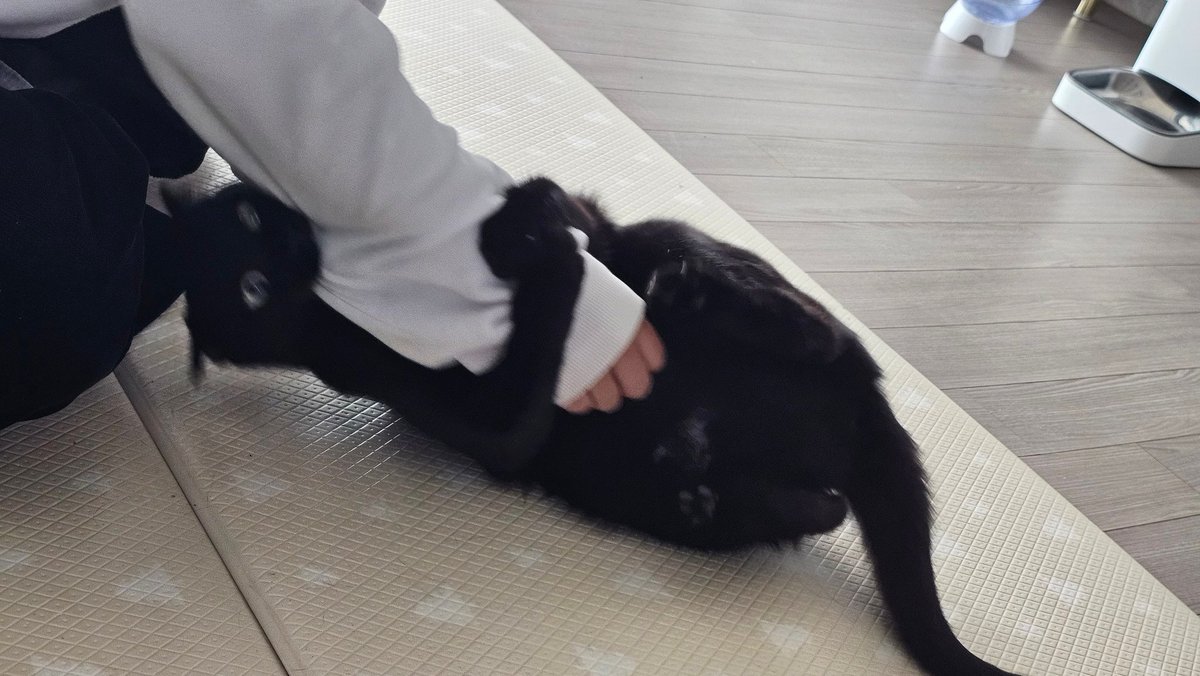 그래도 애는 착해요
피부는 안 뜯어요