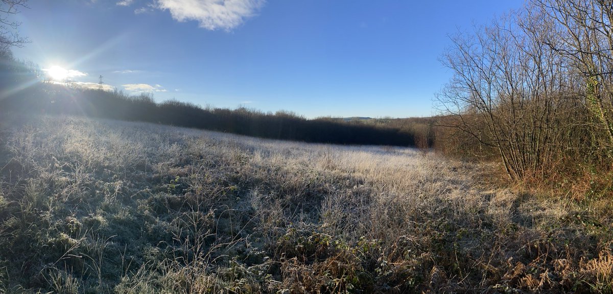surfin_doc's tweet photo. Safle o Ddiddordeb Gwyddonol Arbennig ni bore ‘ma. Hyfryd iawn. 
Our SSSI this morning. https://t.co/oGjFMOIAwj