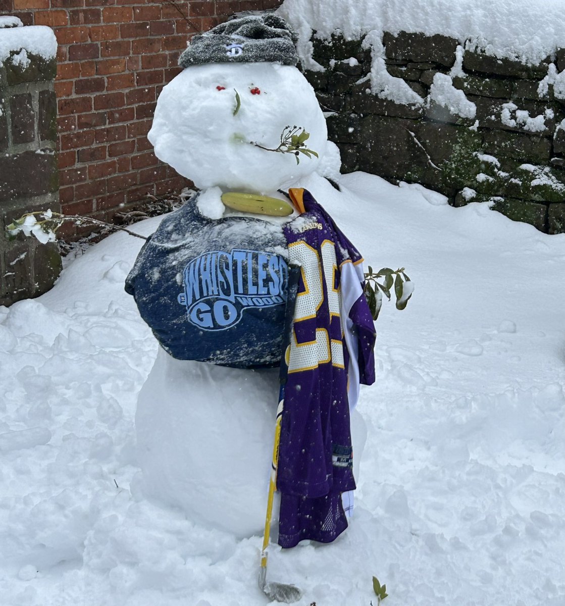 Preparing for week 18 #DraftKings #vikings