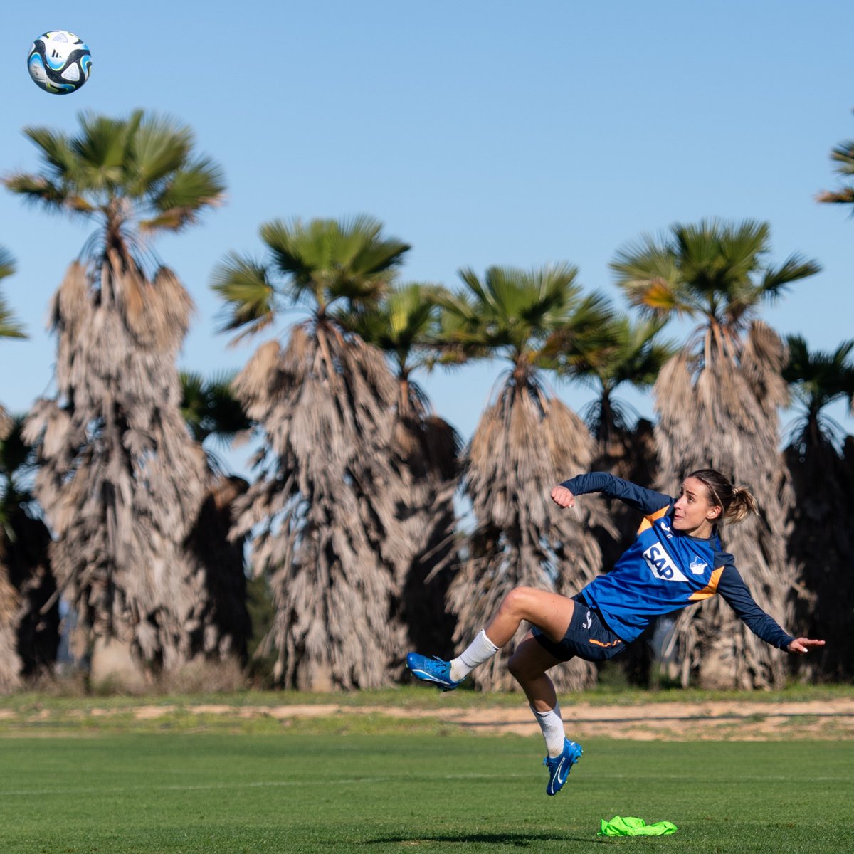 HoffeFrauen's tweet photo. Unser 📸-Highlight: Air #Leimenstoll. ✈️

#TSGFrauen https://t.co/UVd0TPcacO