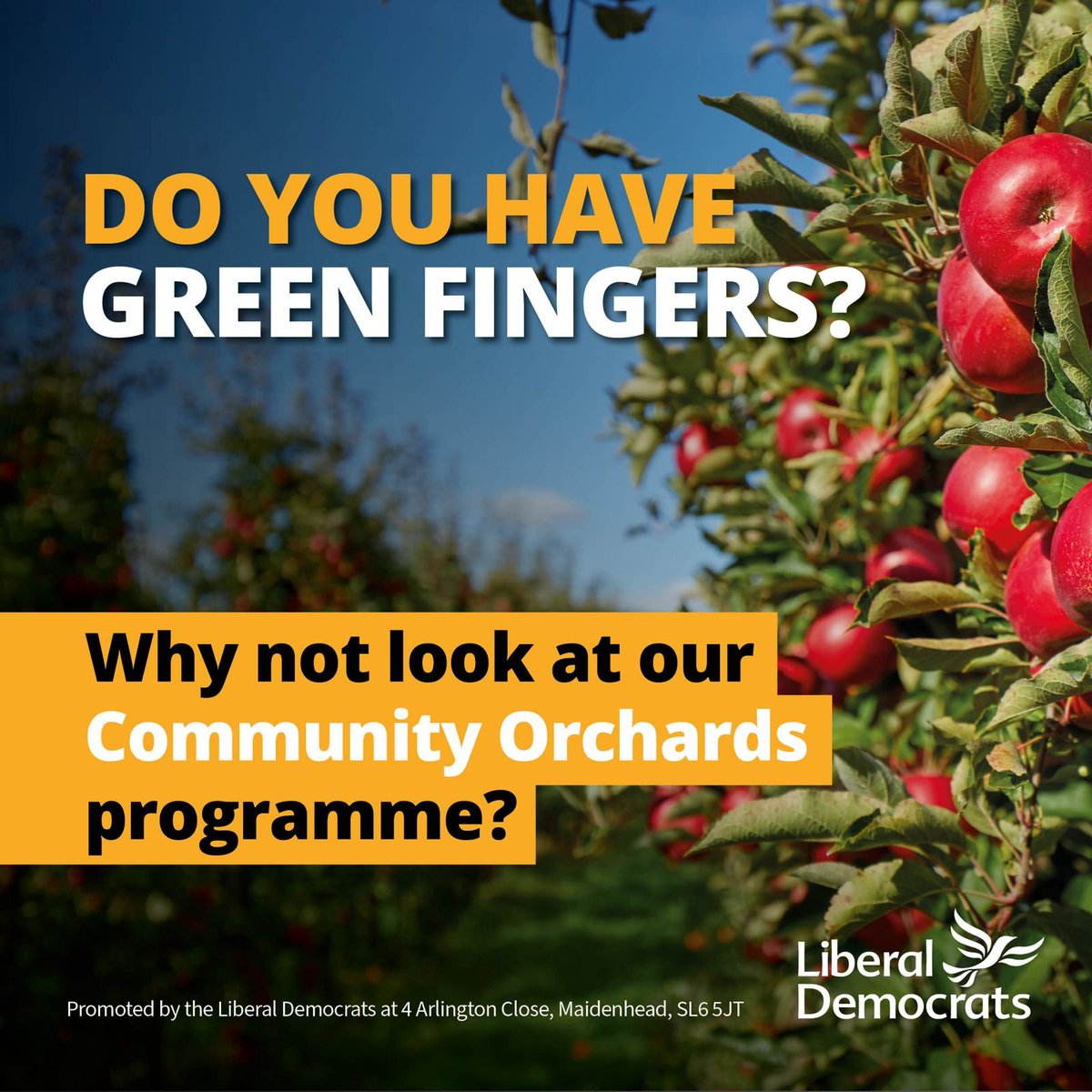 🌳 RBWM has secured funding for new community orchards. This programme will not only support our climate change and biodiversity ambitions but is a fantastic way to get involved in your local community. Applications are open now. To apply, please visit rbwmtogether.rbwm.gov.uk/orchards
