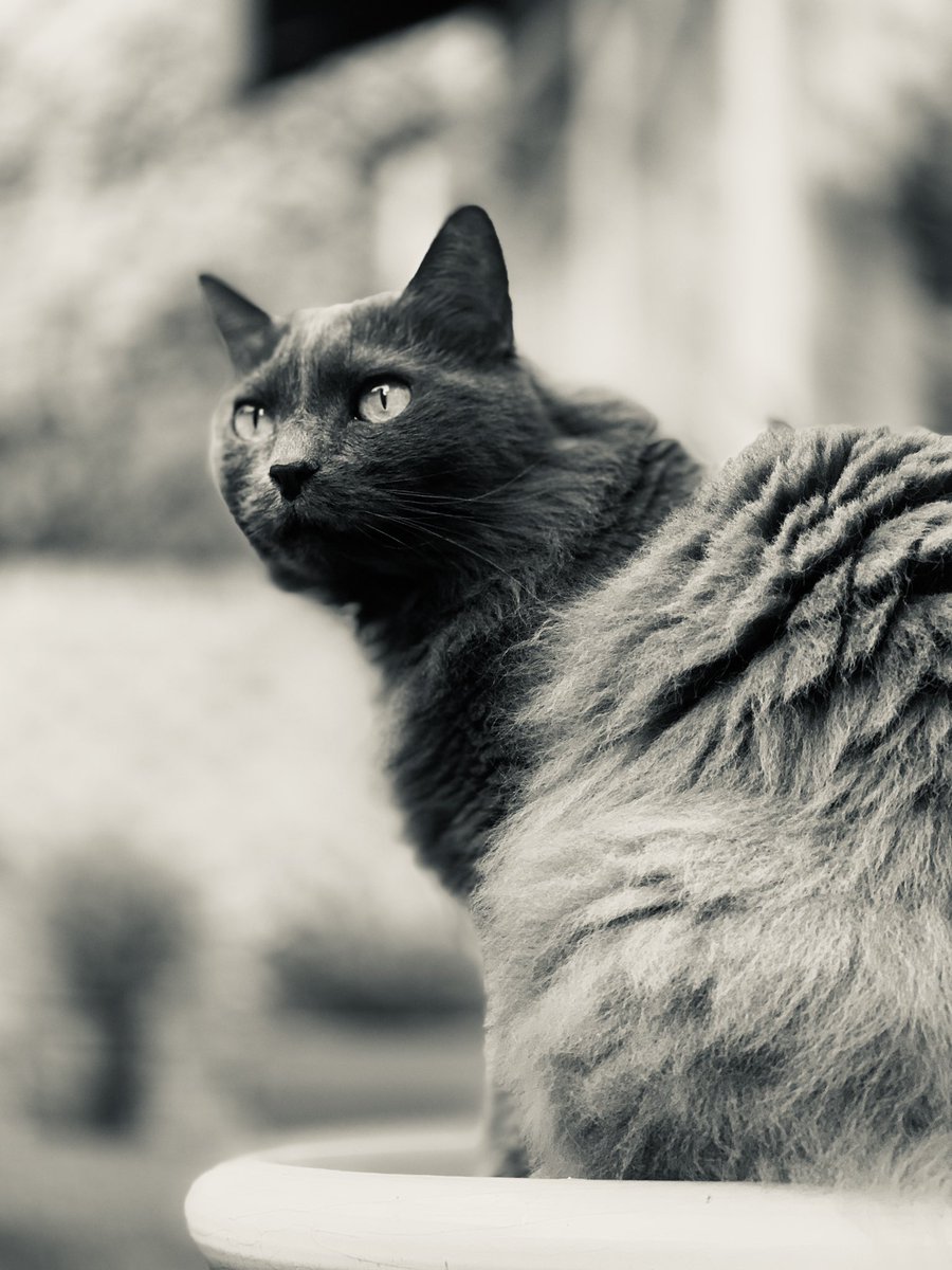 Marli Wentzel tweet media