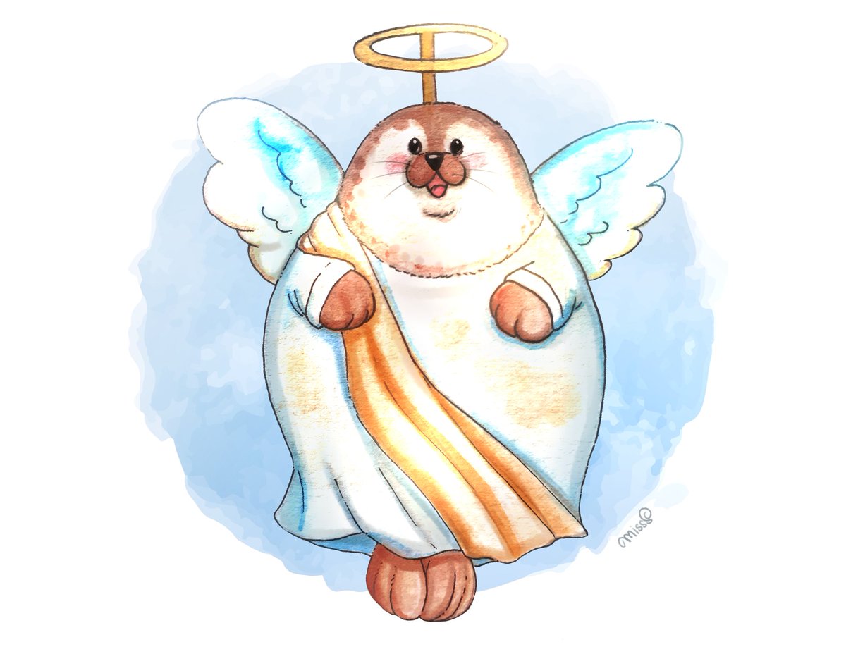 Angel seal 🦭