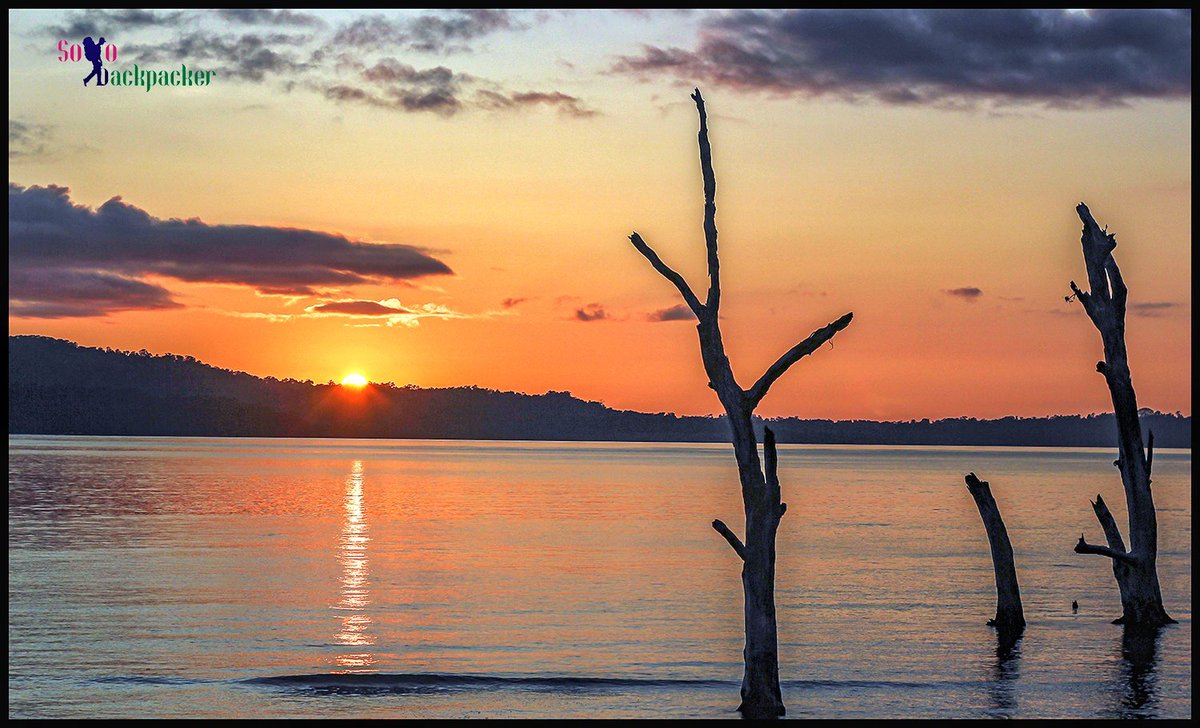 solobackpacker's tweet photo. Evening time in #Andaman . Let us enjoy our Islands and appreciate their beauty more than places like #Maldives . Say No to the countries not welcoming us with an open heart.

#IncredibleIndia #AndamanNicobar #Maldives #BoycottMaldives https://t.co/RBRnAD8miF